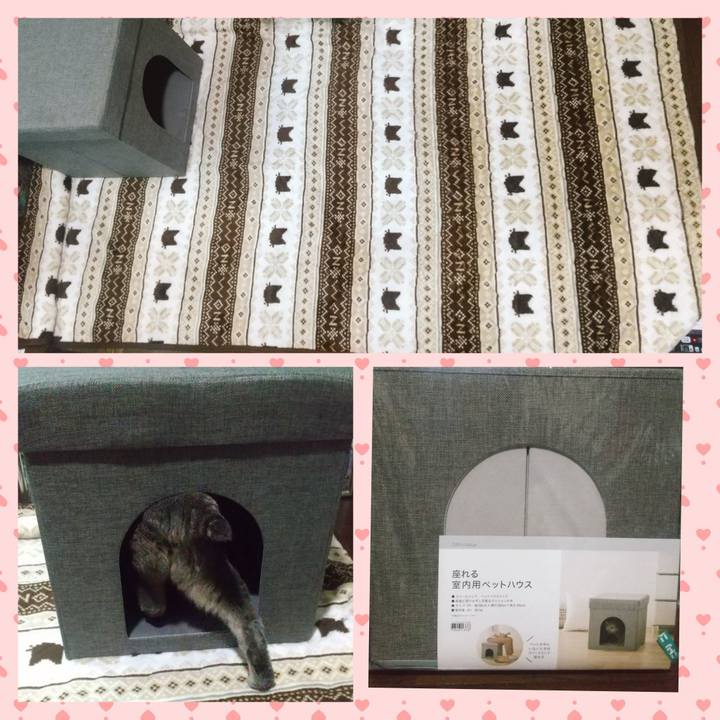 741ed004 2590 4657 a68b 5494696b71fa 1666791790174