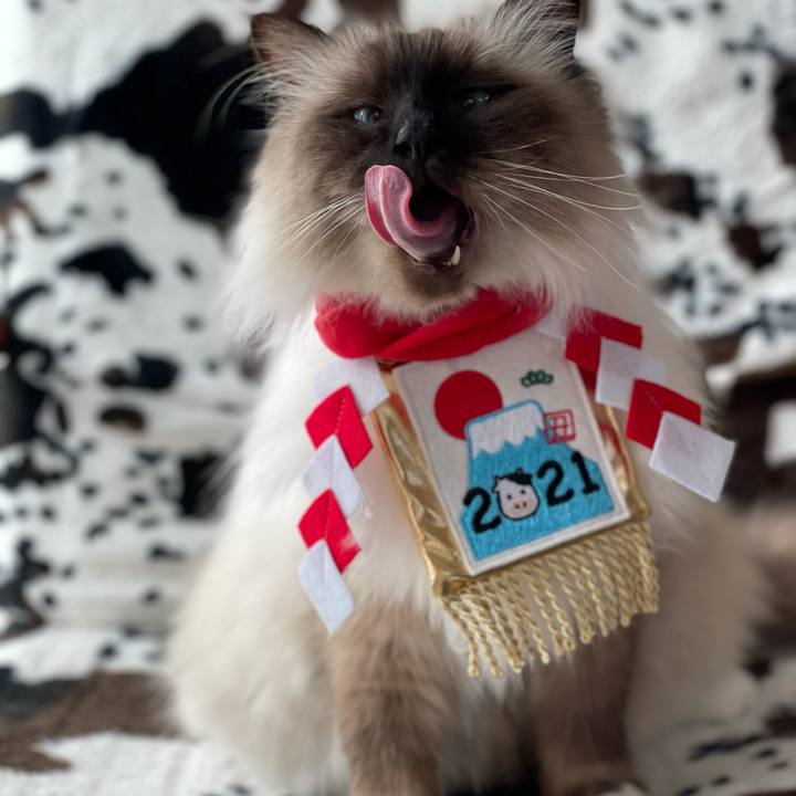 741ed8c7 6314 4365 a12a 5df9b38d7008 1609547513822