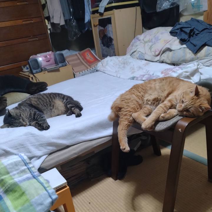 741f0d79 bdcb 4f33 b302 31b171509aa5 1688992544910