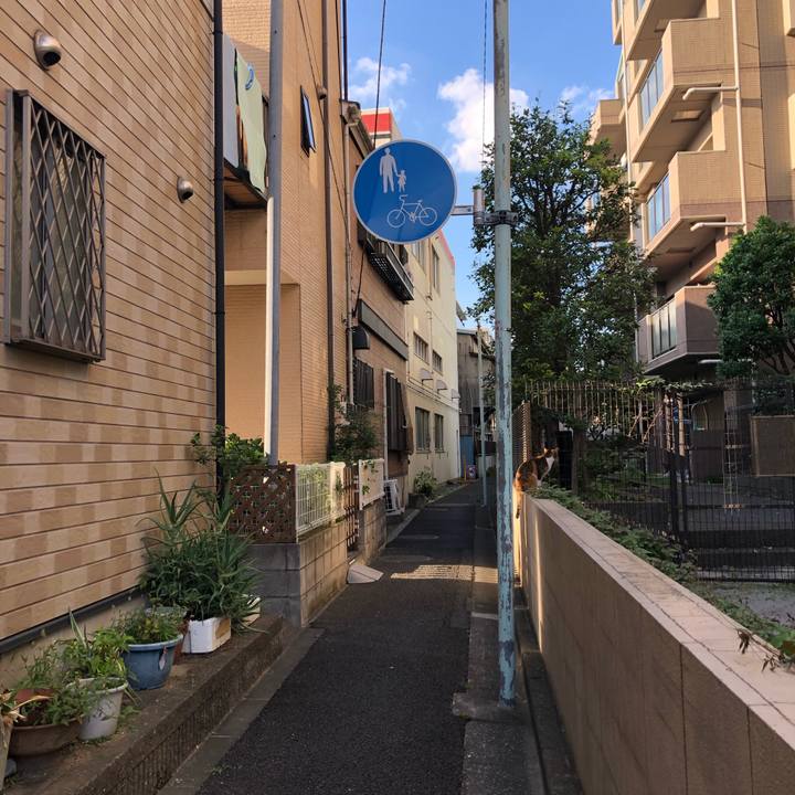 741f4ea2 36fb 45f4 844a b2ab64f89b78 1569073585179