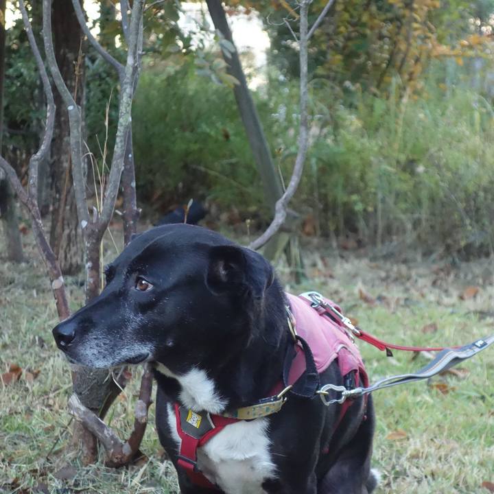 741f6e2a bfec 4492 86a6 68afe33cc351 1700786798854