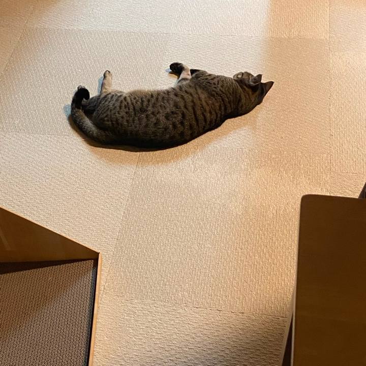 741f6fab d819 4839 8207 6d79110aa873 1768924680540