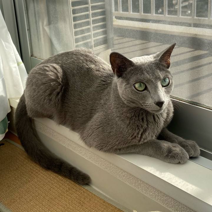 741f9b17 b15c 4d73 83a8 625211f6fb2b 1671076560529