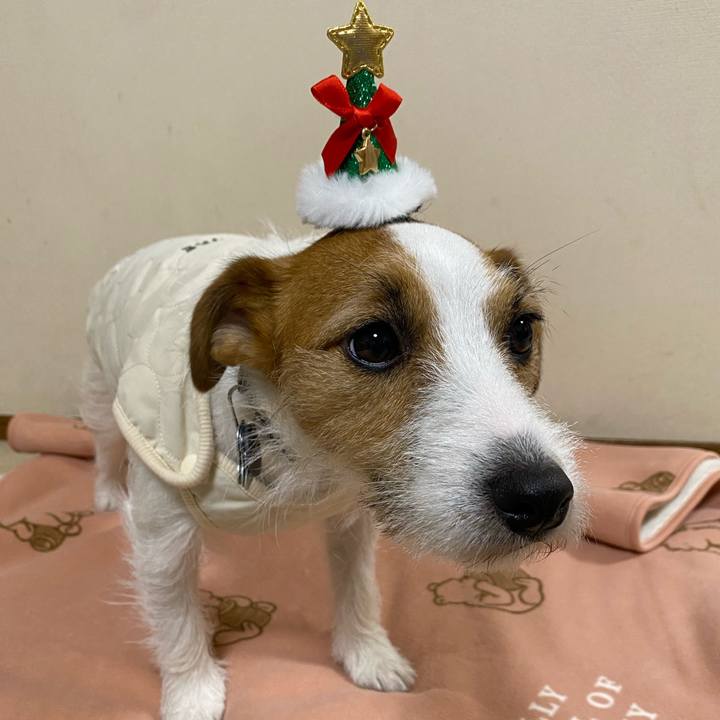 741fbc6d 3650 4a8e a1a0 1d5e2b946eda 1703421924055