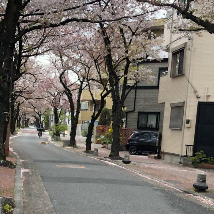 741fc790 e866 40dc baac 4599cfcb9c77 1555082177276