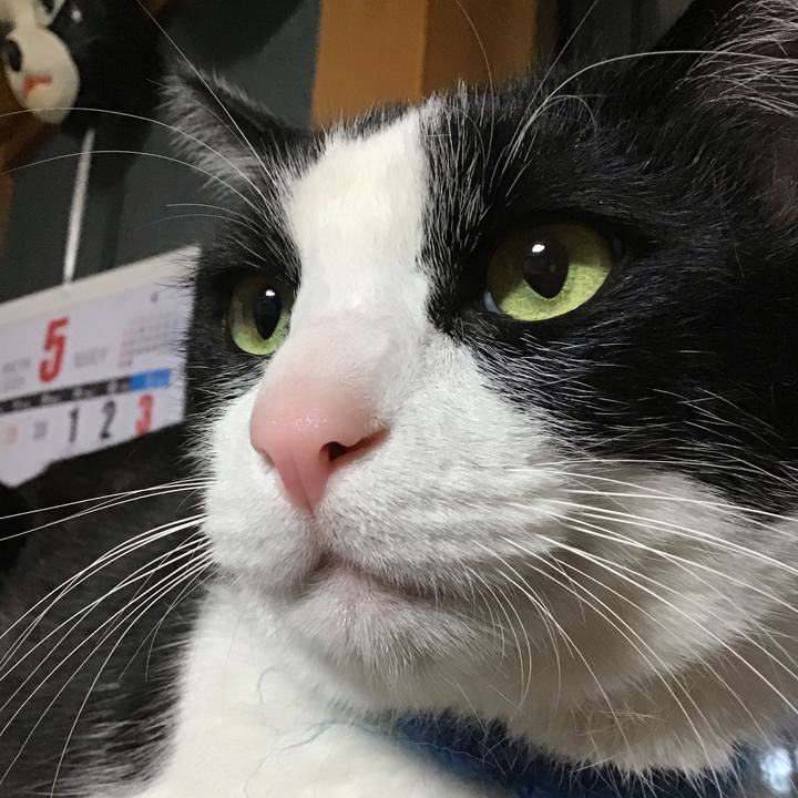 741fea3a 3a0a 462a 8911 d9329d19789e 1746617500640