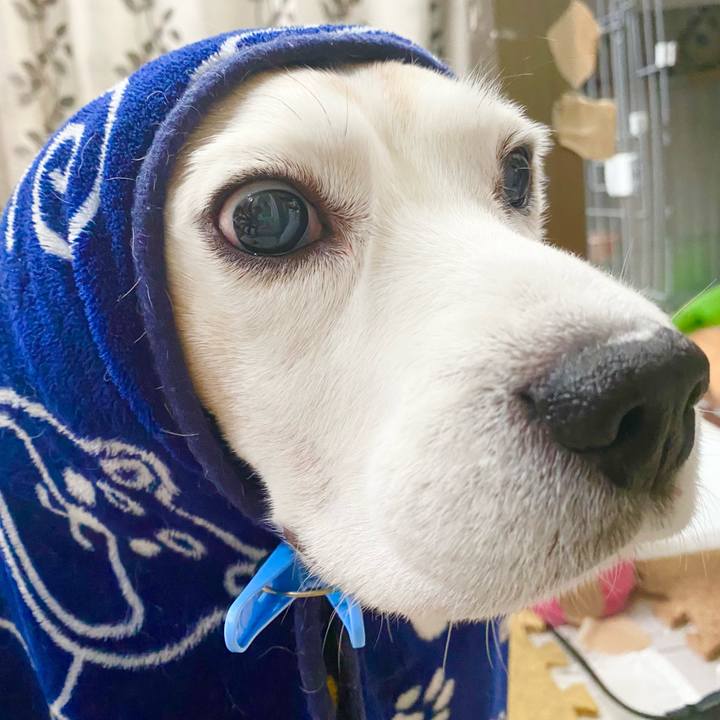 742024e7 9035 4da0 9376 31699d1a60f3 1642913318373