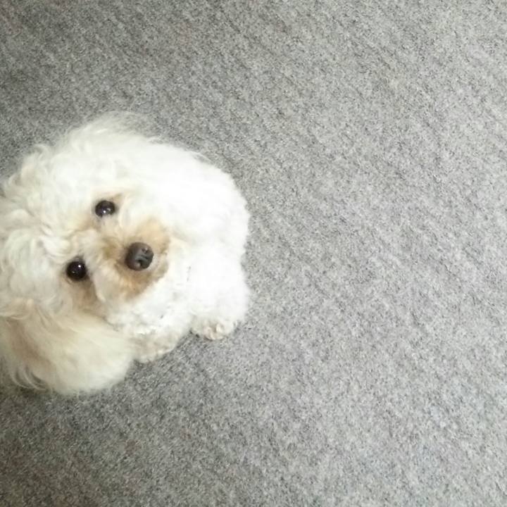 74202680 1907 46ca ab5e d17727f135bf 1531212496519