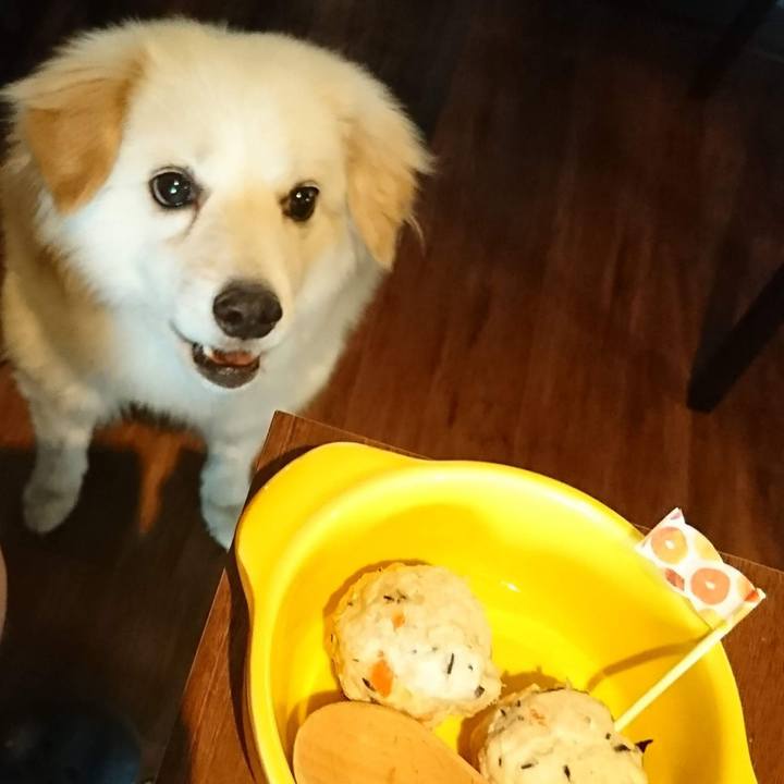 74202714 0b86 4049 b109 f254ee9cd5e8 1540026483573