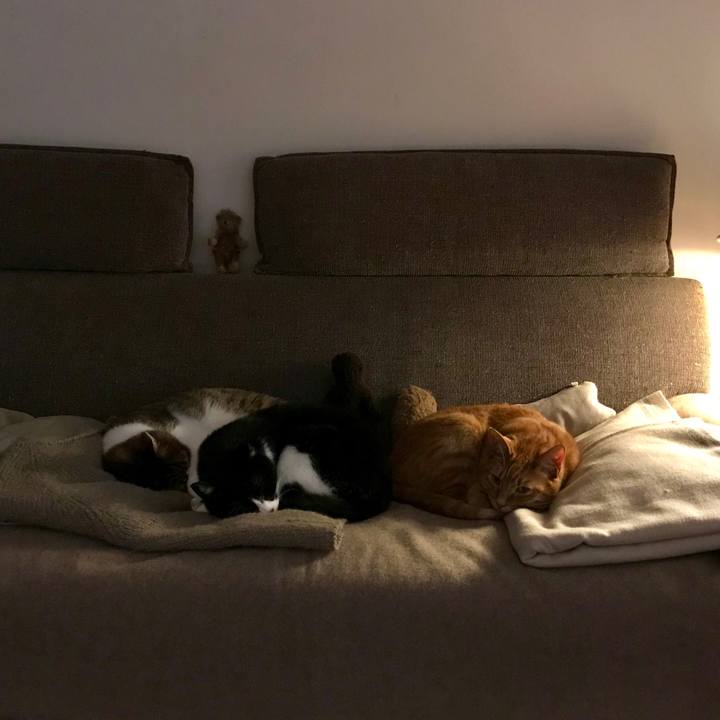 74202b49 d6e4 49dc aa29 0b6242da54b2 1516804839685