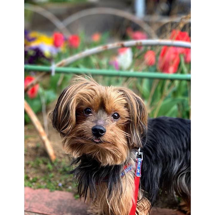 7420546f bb8d 4513 a284 f7a527c31b7a 1553465795356