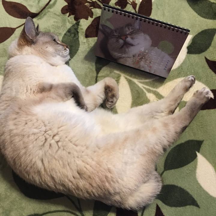 742099e6 bb87 48c1 bb43 36175ac59b45 1585776743815