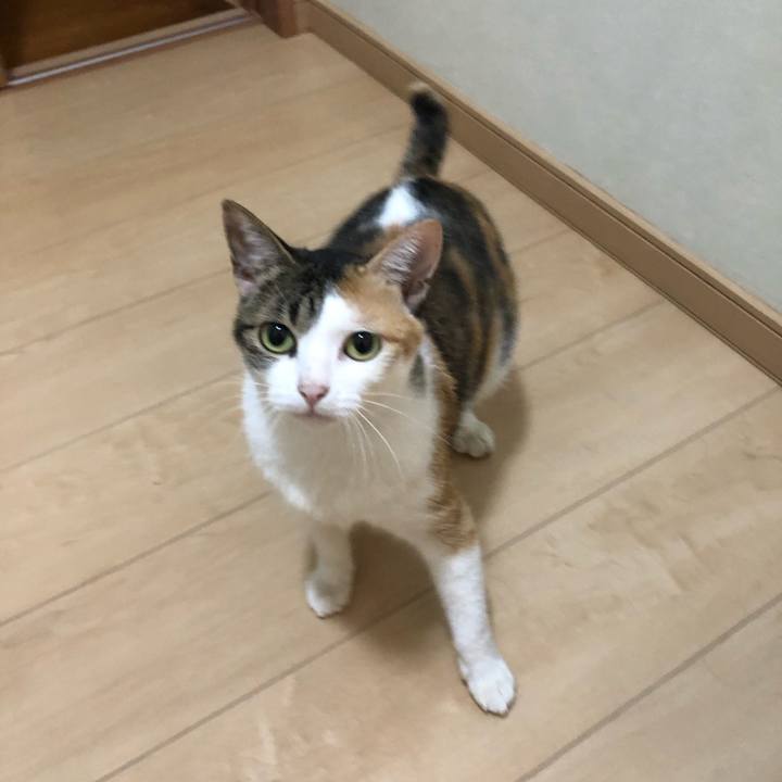 7420a90d 5aea 41d9 81bf 9c205472a655 1596557625815