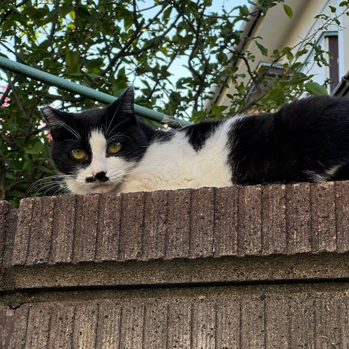 7420f2ef 3518 45ca 9de3 a7dc2ba6a634 1754843417813