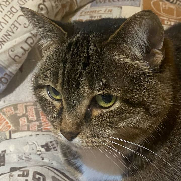 7421090d 9e77 4c8a 9242 4f5f464d3753 1747776541471