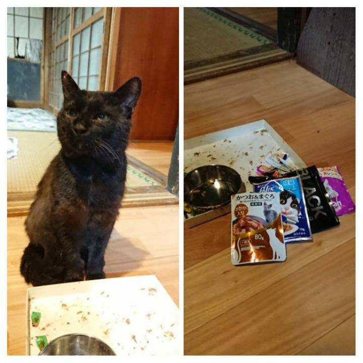 74210f4b cf2a 4d79 ada9 30edcdb03283 1624973152596