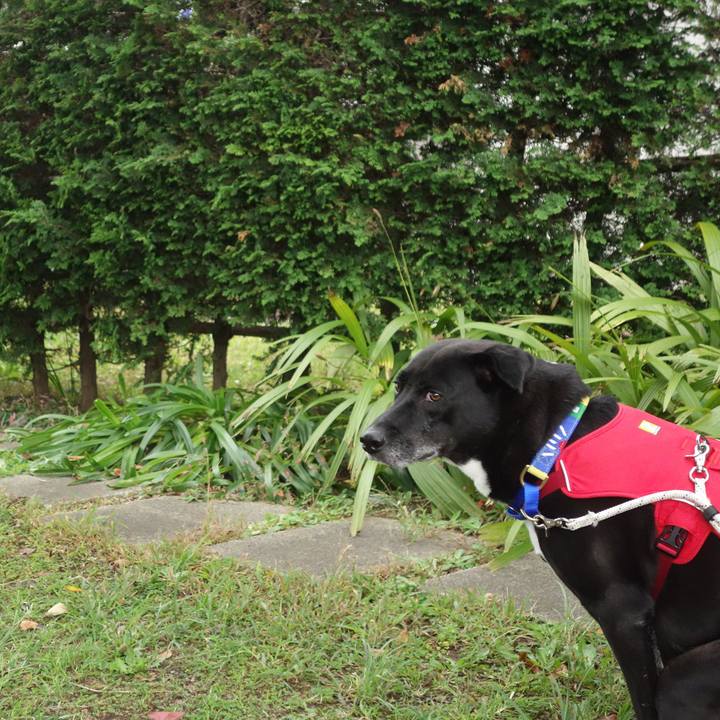 74211640 3403 45b1 9641 feef0dd52472 1666661186376