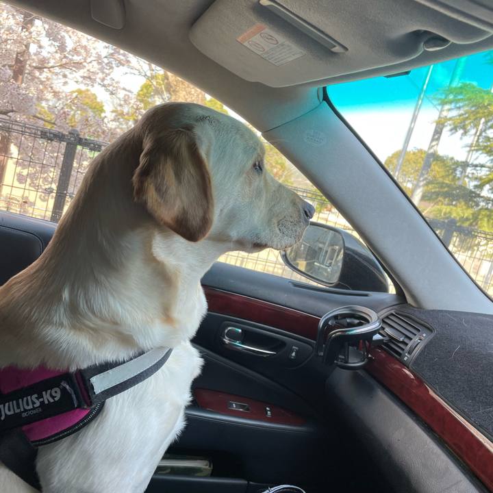 74215cf0 39b9 436c 8791 fae5a2c9a97f 1648771765953