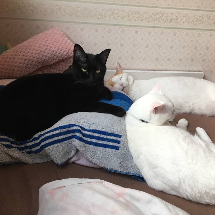 742168ae 9969 4853 a0fd e143998664f5 1533547628739