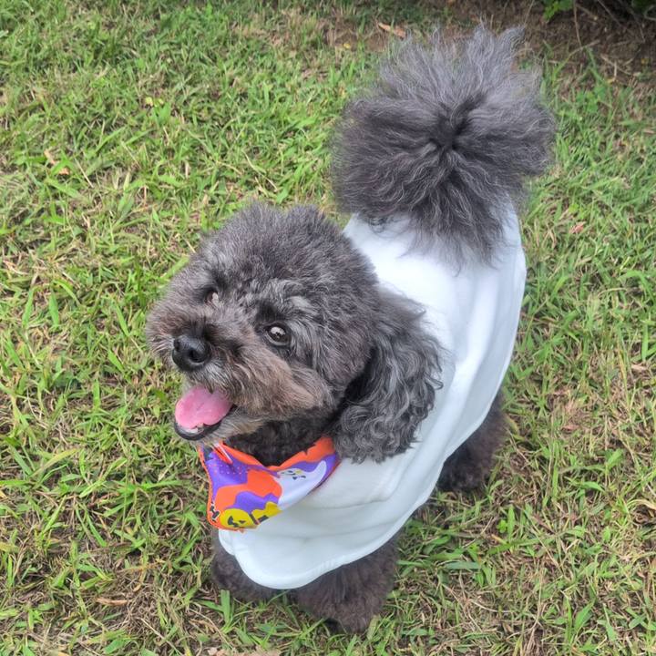 7421919c 28e3 4a7e b911 b9af74be3cf0 1760884948069