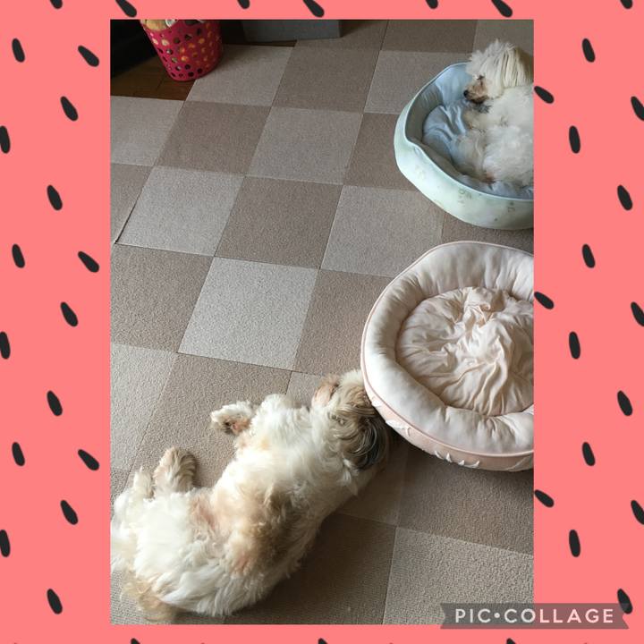 7421bb29 7b60 4bdc 9e62 82ecfa9affb7 1628224203919