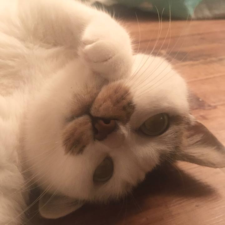 74221ed8 b0a7 425a aecd ee872dbdab4a 1609925621042