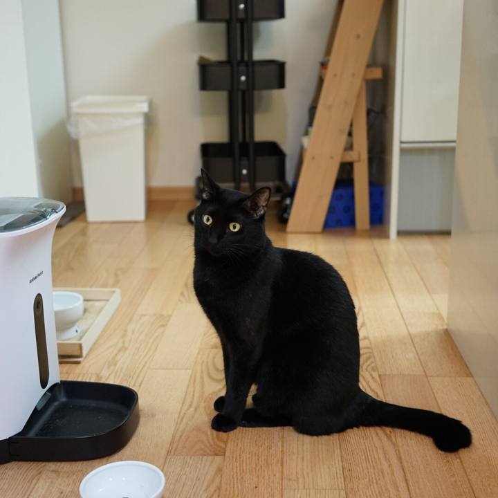 74222c36 e898 4f3f a871 bc3791a32cba 1538730274012