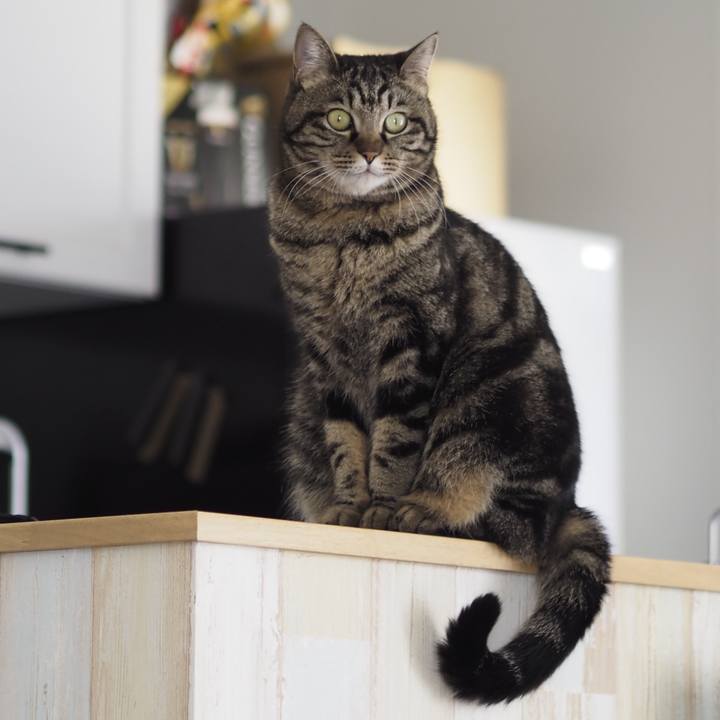 74228c3d 72d8 4772 b0d1 91a035636fb9 1651884208925