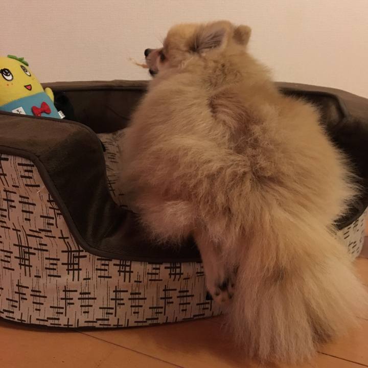 7422b9a8 1e17 451b b051 60be49ad0555 1508153734806