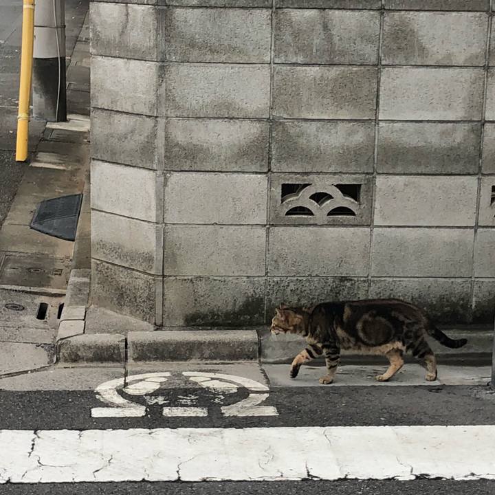 7422bbec 95aa 4a87 8ce8 1ccb1c1855ea 1537952420933