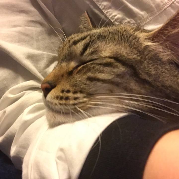 7423172b cbdd 483d 9c79 b5960706890c 1513856569238