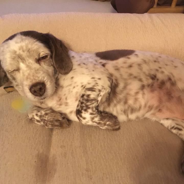 74235259 0fb3 4dbd 813b f08401b2462d 1510420897435