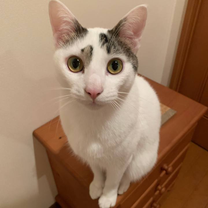 74236128 5046 4d1d 994c 0d2f692b4f7a 1611798688901