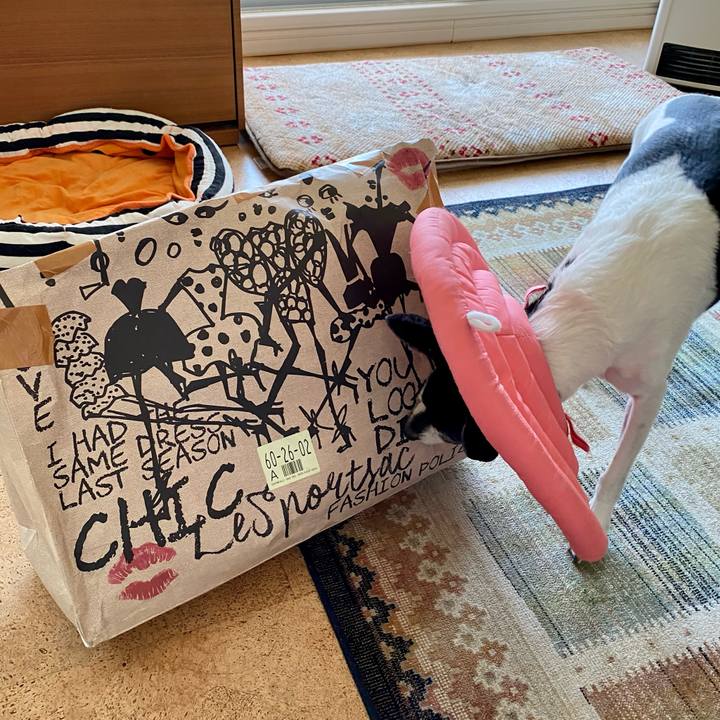 7423db4f 221e 46f9 8dee 87b85474bab6 1620016094351