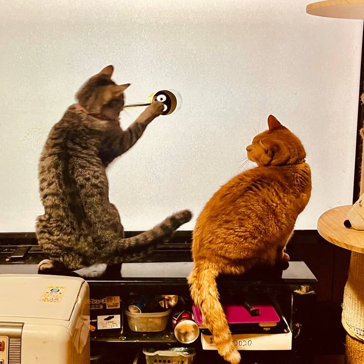 7423f1af bd1d 4a27 996c c5e4951089cd 1769331355781