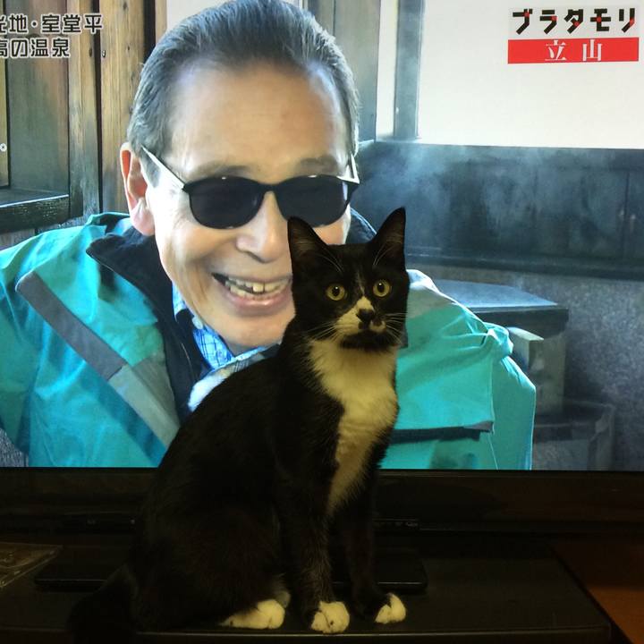 74244ce2 d422 42a4 bdaf dec301009e65 1508730317086