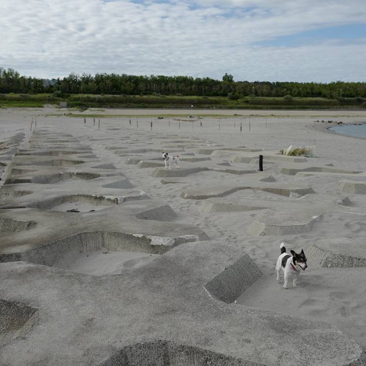 742466da 7d4d 47f0 a0ec e3e3f32ed9eb 1562556841169