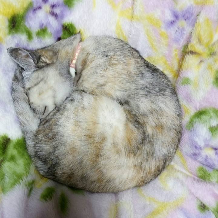 7424804c 92b6 4fc7 b130 0f86ec93b020 1516800765634