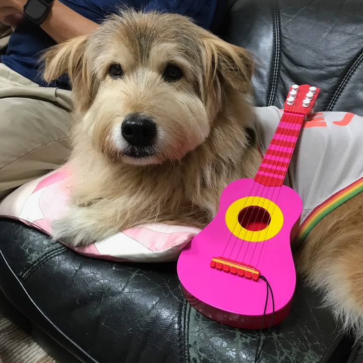 7424cab0 ed38 4b2f adb0 64b5174c39d0 1546440510538