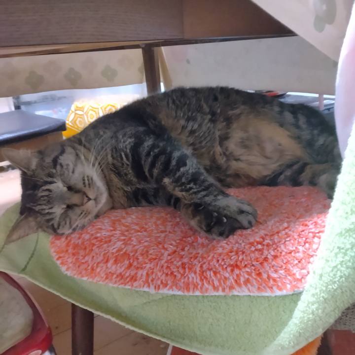 74251570 fff8 4f58 8a4f 5ce7be536d2b 1706953613888