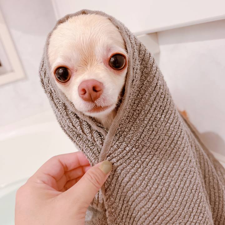 7425320a 8dc7 4fd3 9c33 e6909573f165 1667045842508