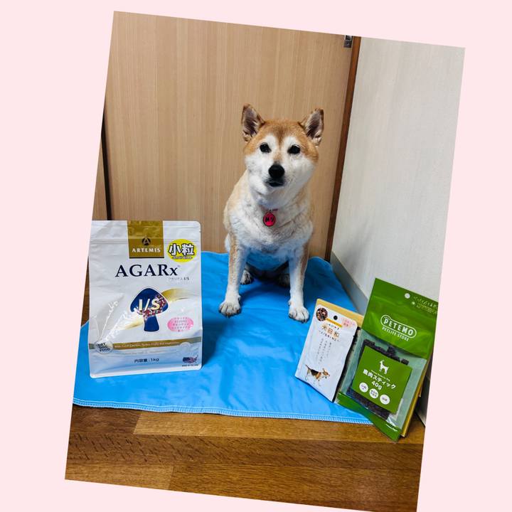 74255a97 be49 4c5e b059 1850b170a47c 1727761691014