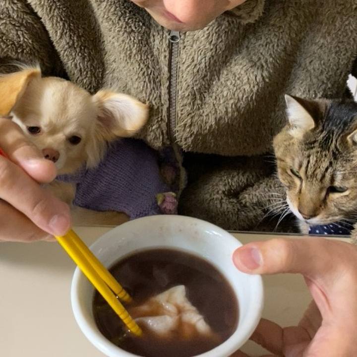 7425aff3 8d29 4c3f b48f 87cae9035769 1709022745701