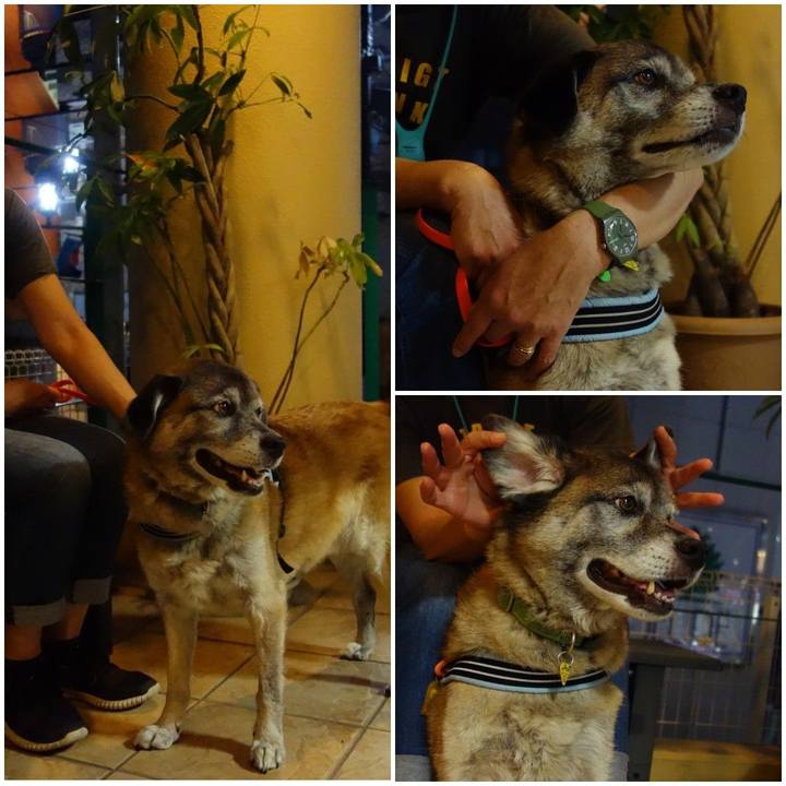 7425ba5a c305 4fd2 bdf7 8f79f3786928 1566569853967