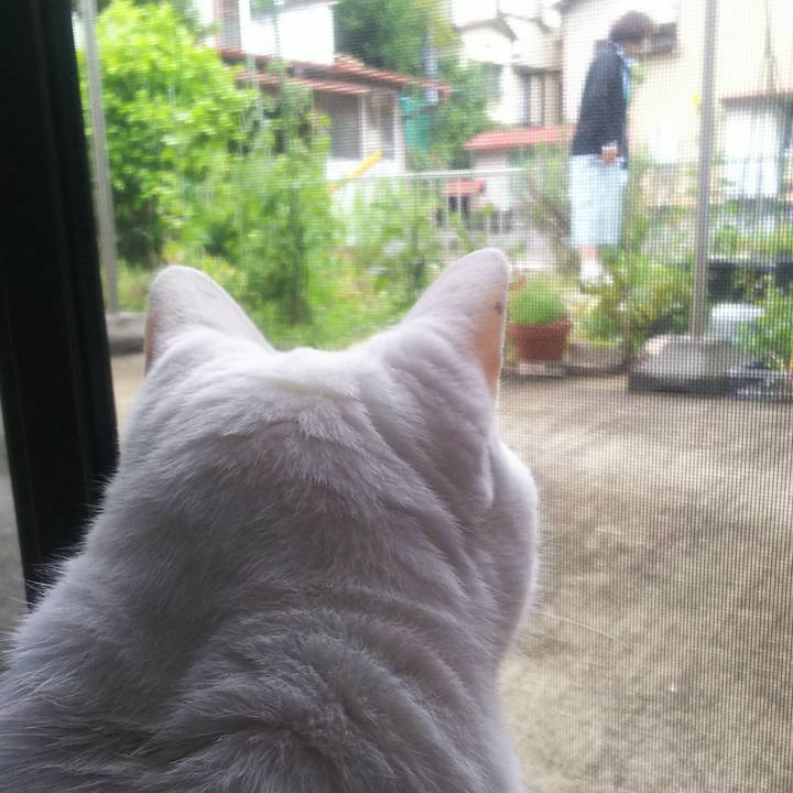 74262a4e 4a71 49e9 9ad7 c419649c83d1 1561284526480