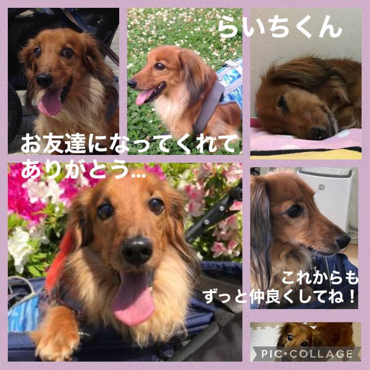 74267249 dedd 4774 8934 c8ea027b3272 1663832120321