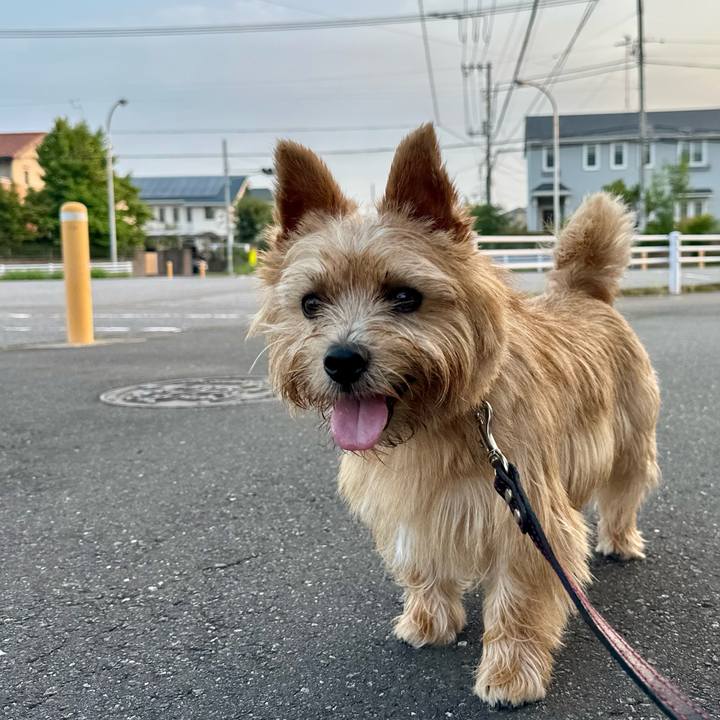 74268406 f309 4473 b5e1 0dc8f5c832c7 1755589434930