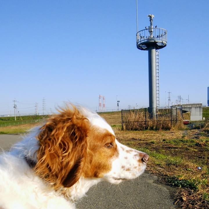 7426ac04 1d12 470b 8f6c 6057e79ec345 1552868587899