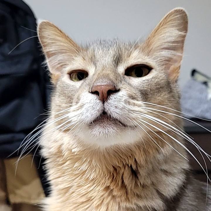 7426b445 3ff9 4320 b447 62108dfb72ad 1682031860207