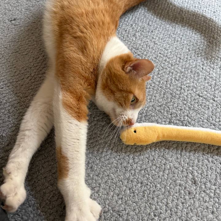 7426b522 a7bd 4cea afd6 3bc09e85dbad 1768989159825